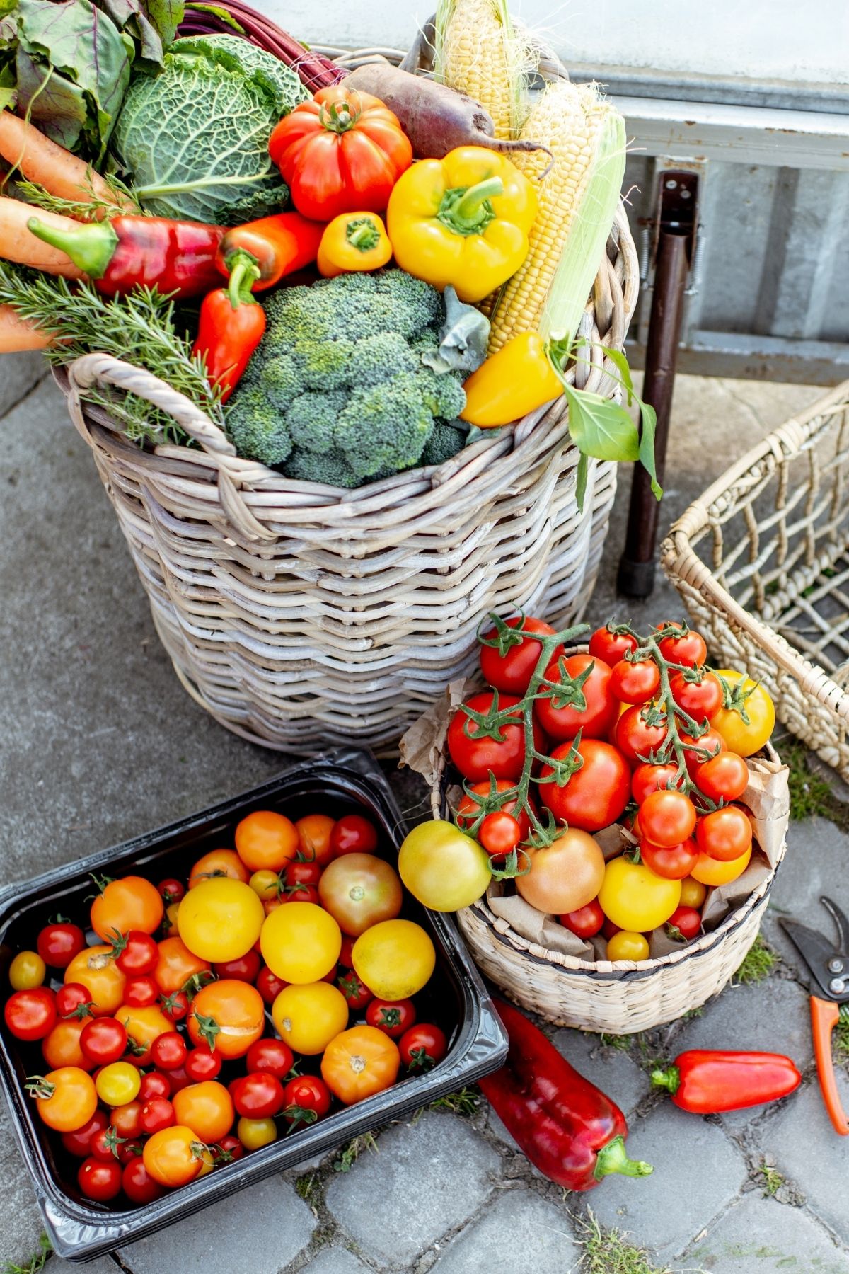 fresh vegetables for sale.