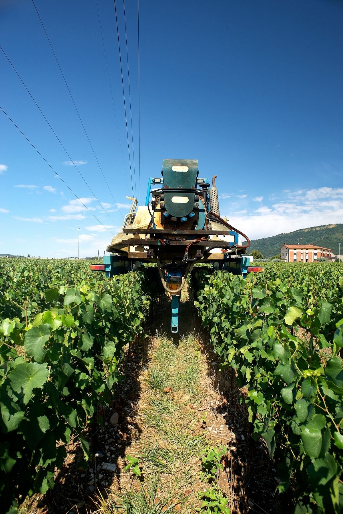 tractor in a field.