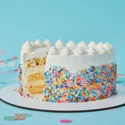 gluten free sprinkle cake