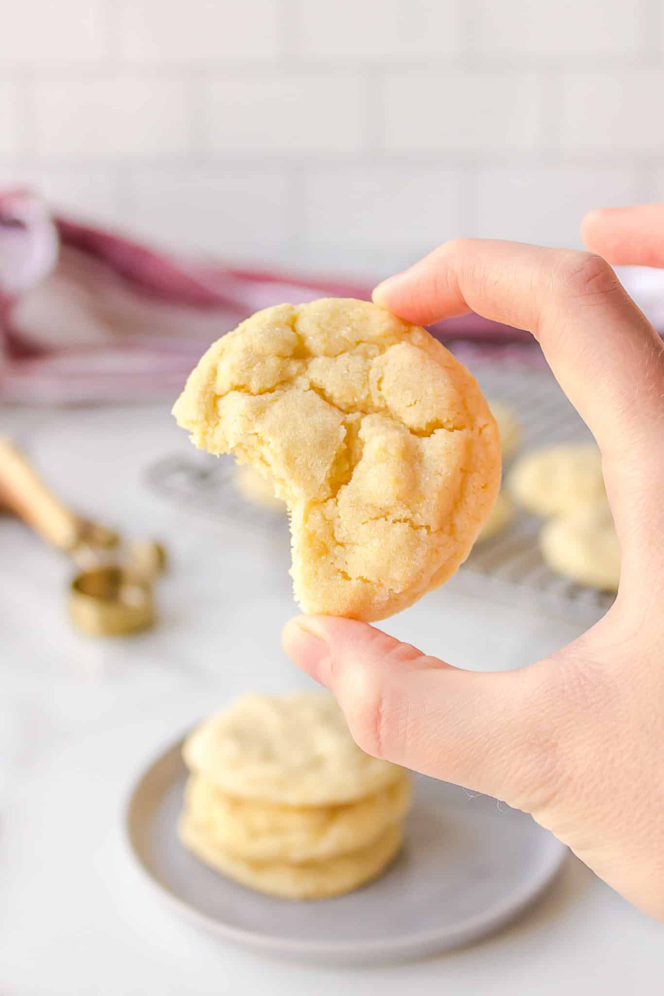 hand holding a sugar cookie.