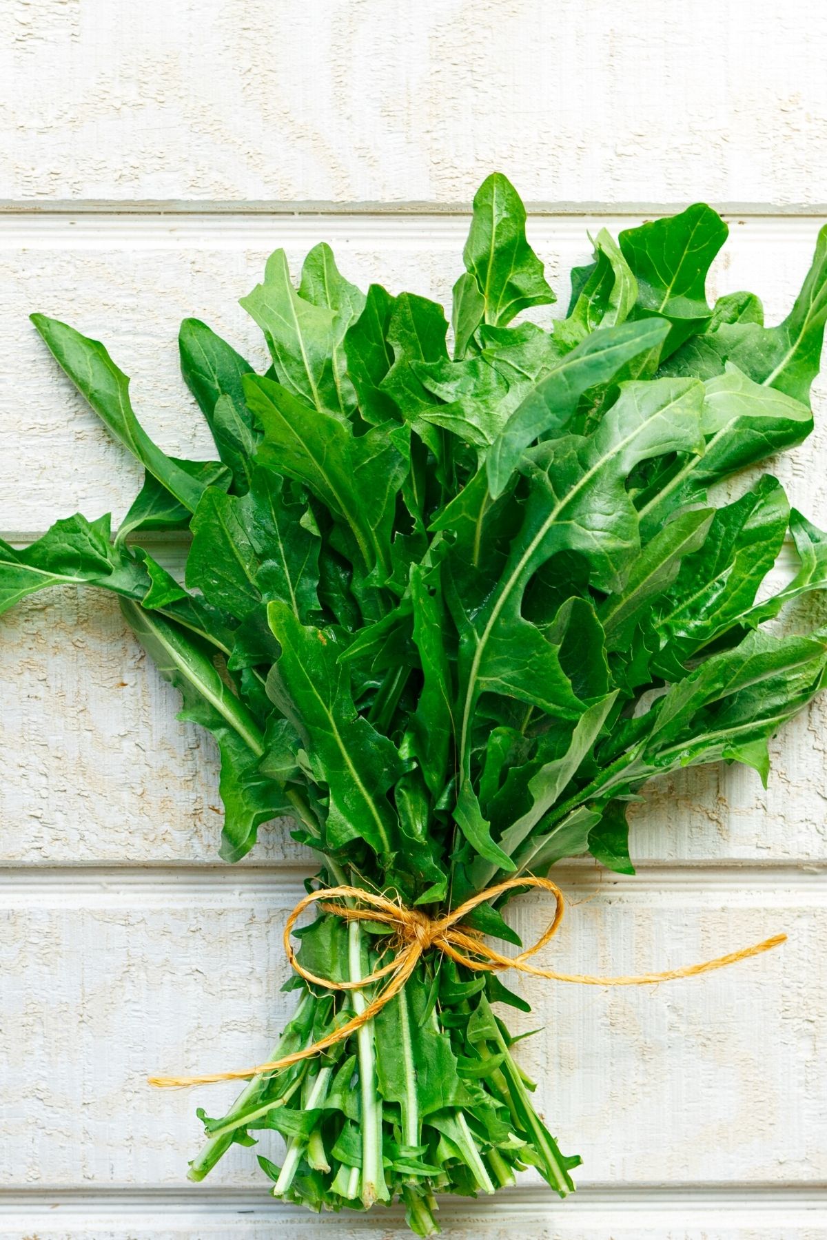 dandelion greens in a bunch.