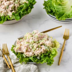 Chicken salad on a bed of greens on a white plate.