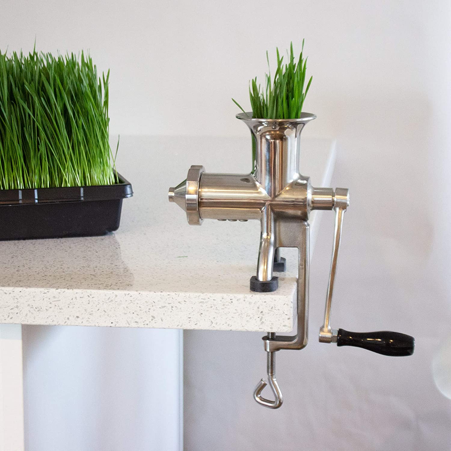 handy pantry wheatgrass juicer.