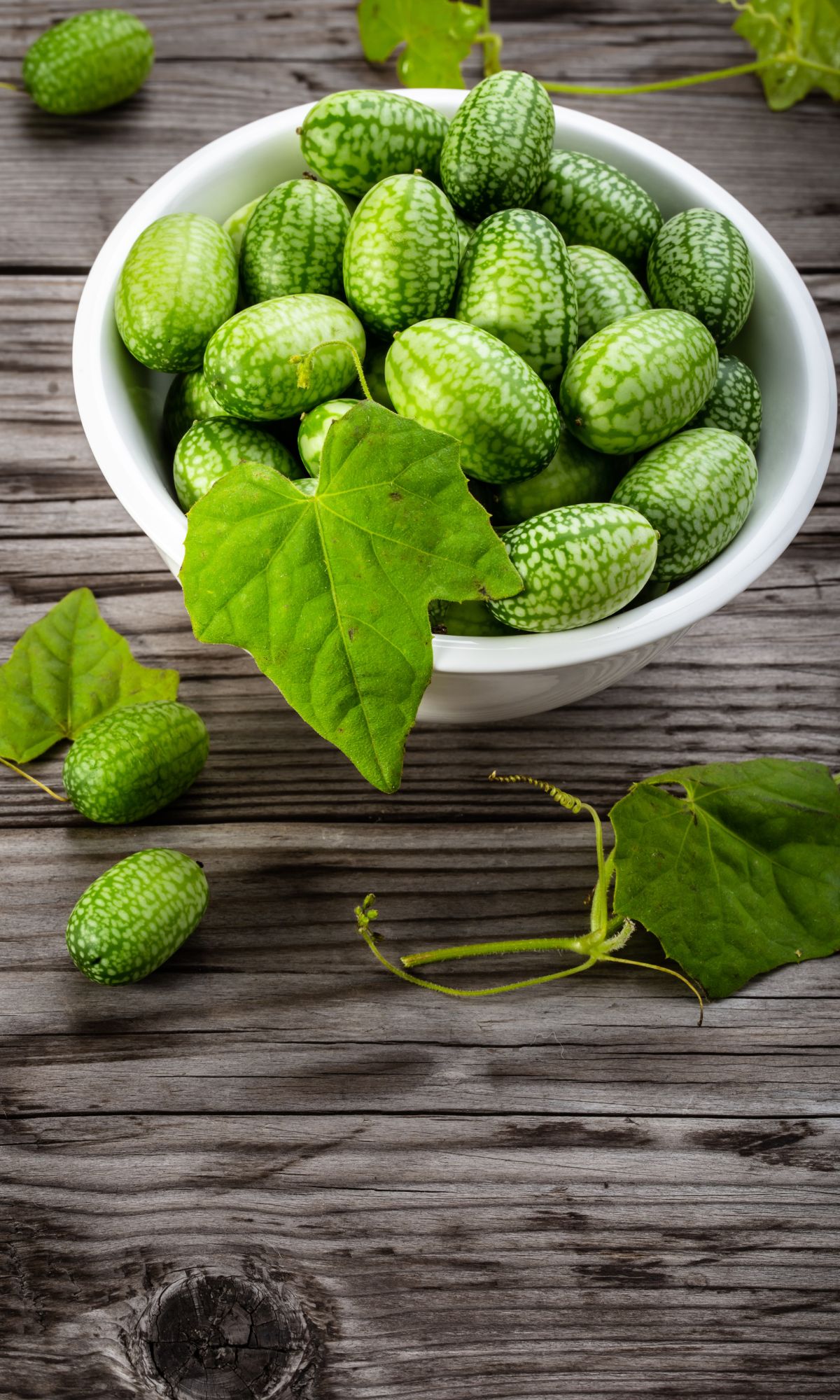 A white bowl full of mexican sour cucumbers.