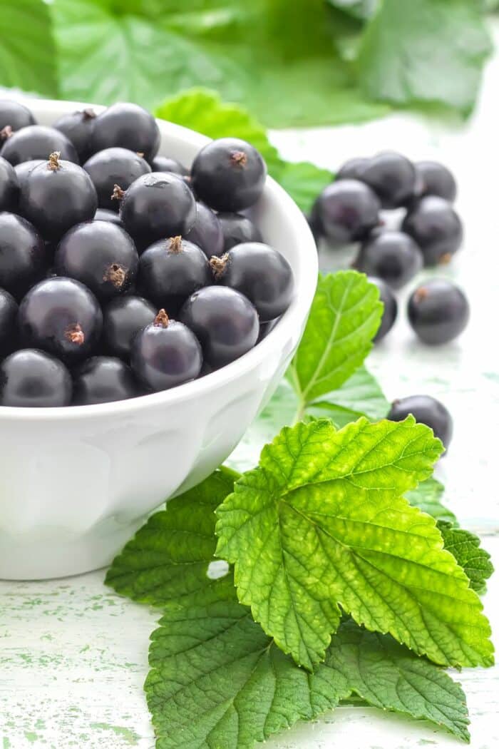 a white bowl of black currants.