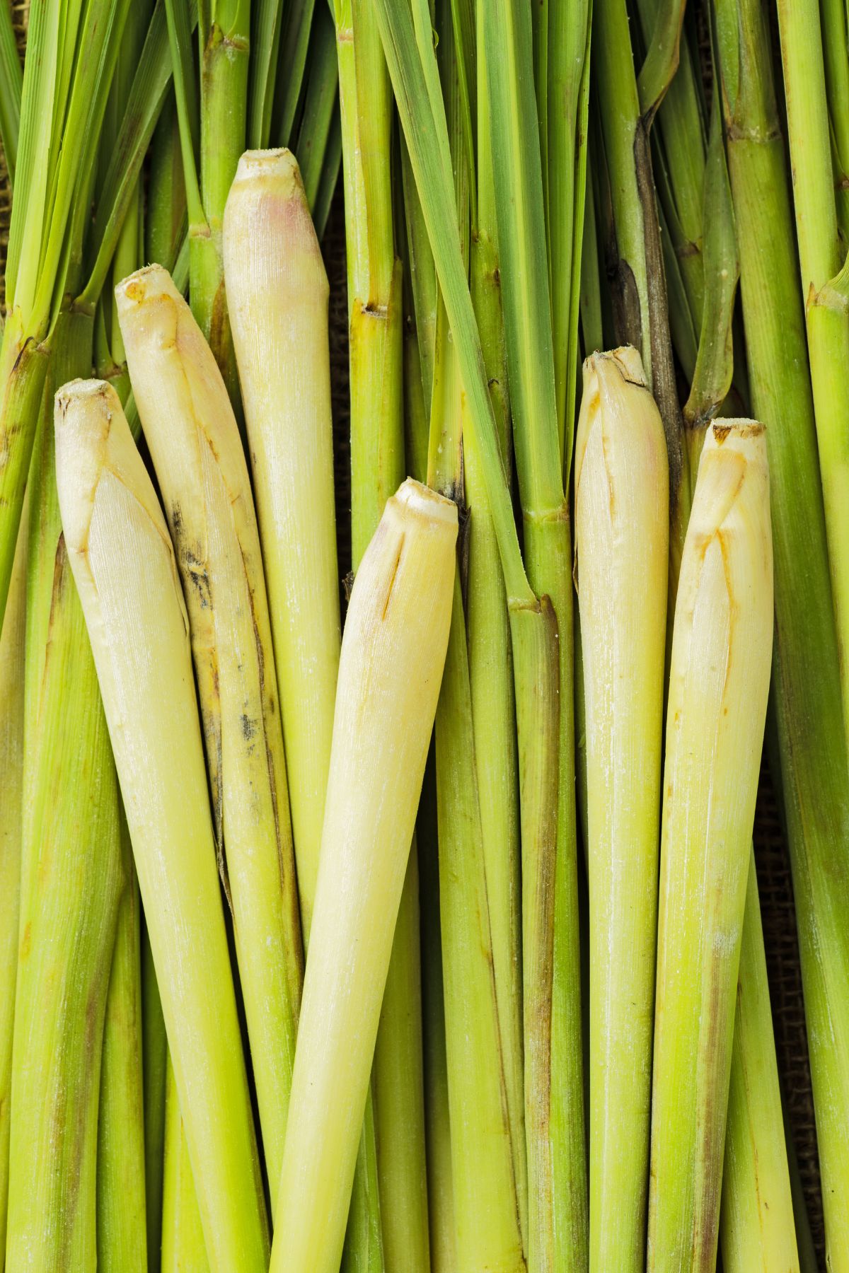 fresh lemongrass on table.