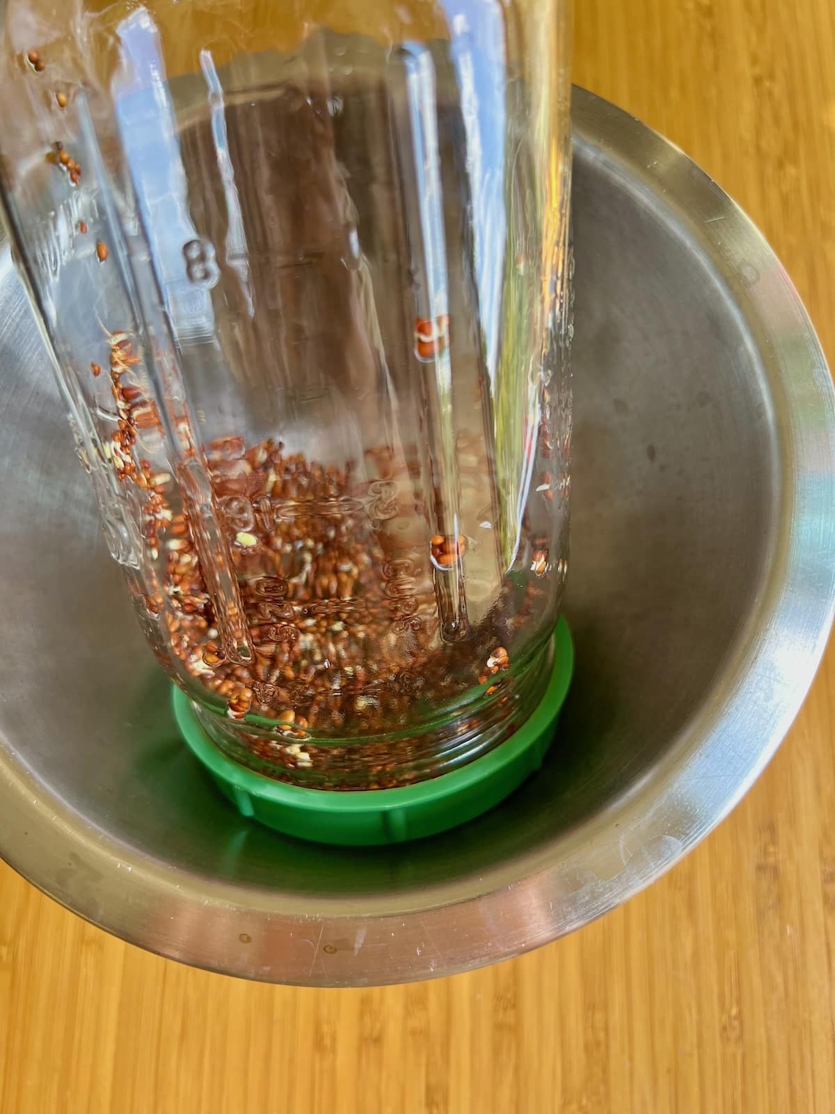 broccoli sprout seeds in jar stored upside down.