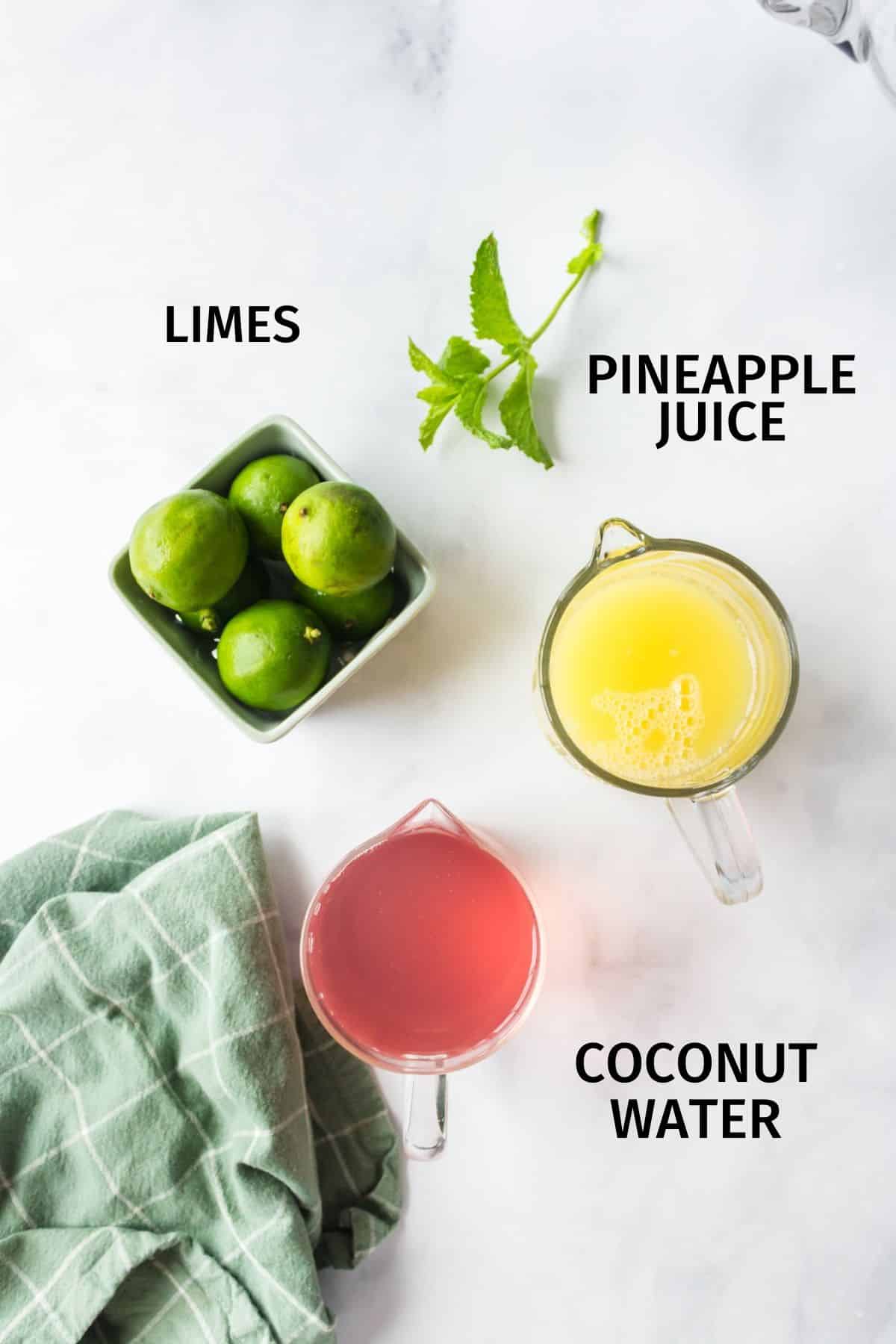 ingredients for coconut water with pineapple.