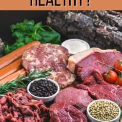 is the animal based diet healthy pin.